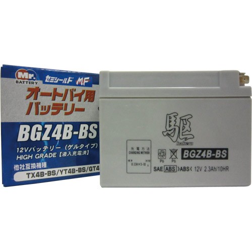 BGZ4B-BS (YT4B-BSAGT4B-5 ݊)(t[d)