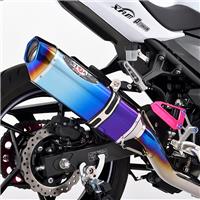 NASSERT Evolution Type II XbvI}t[ u[`^TCT[ Ninja400(18-23)