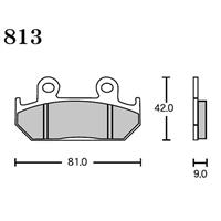 FINE ALLOY 55(t@CAC55) u[Lpbh FA5 813