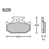 FINE ALLOY 55(t@CAC55) u[Lpbh FA5 829