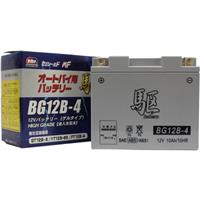 BG12B-4 (YT12B-BSAGT12B-4 ݊)(t[d)