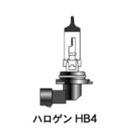 HB4 12v55w(51w) P22d C(NA)